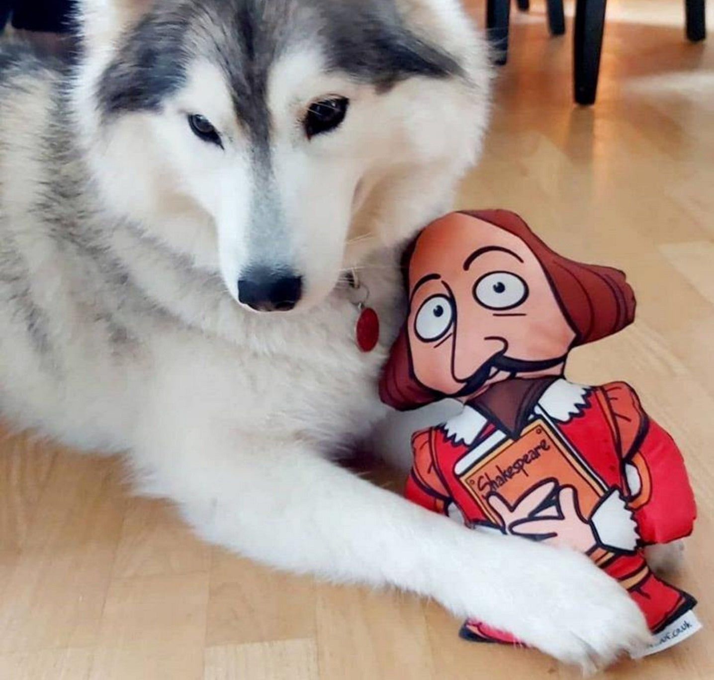 Dog Toy: Shakespeare