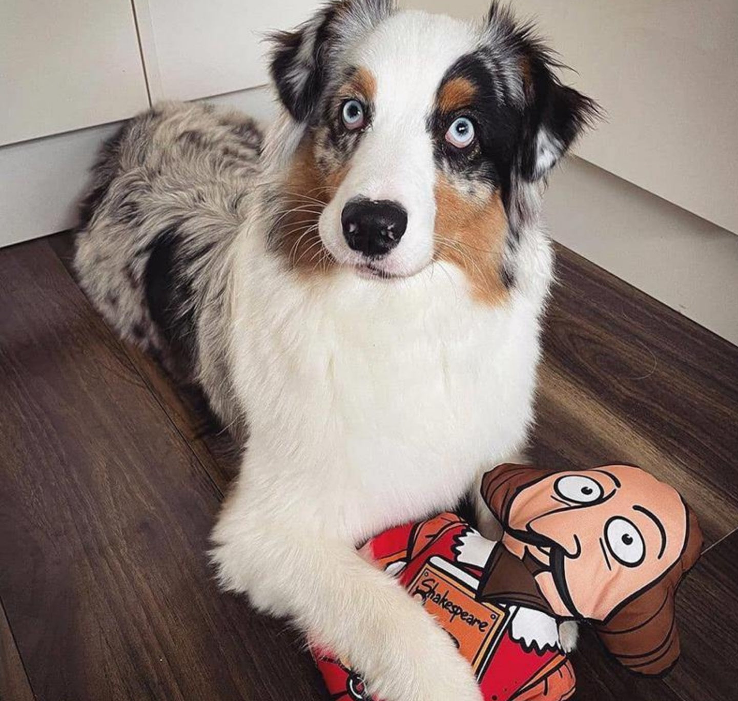 Dog Toy: Shakespeare