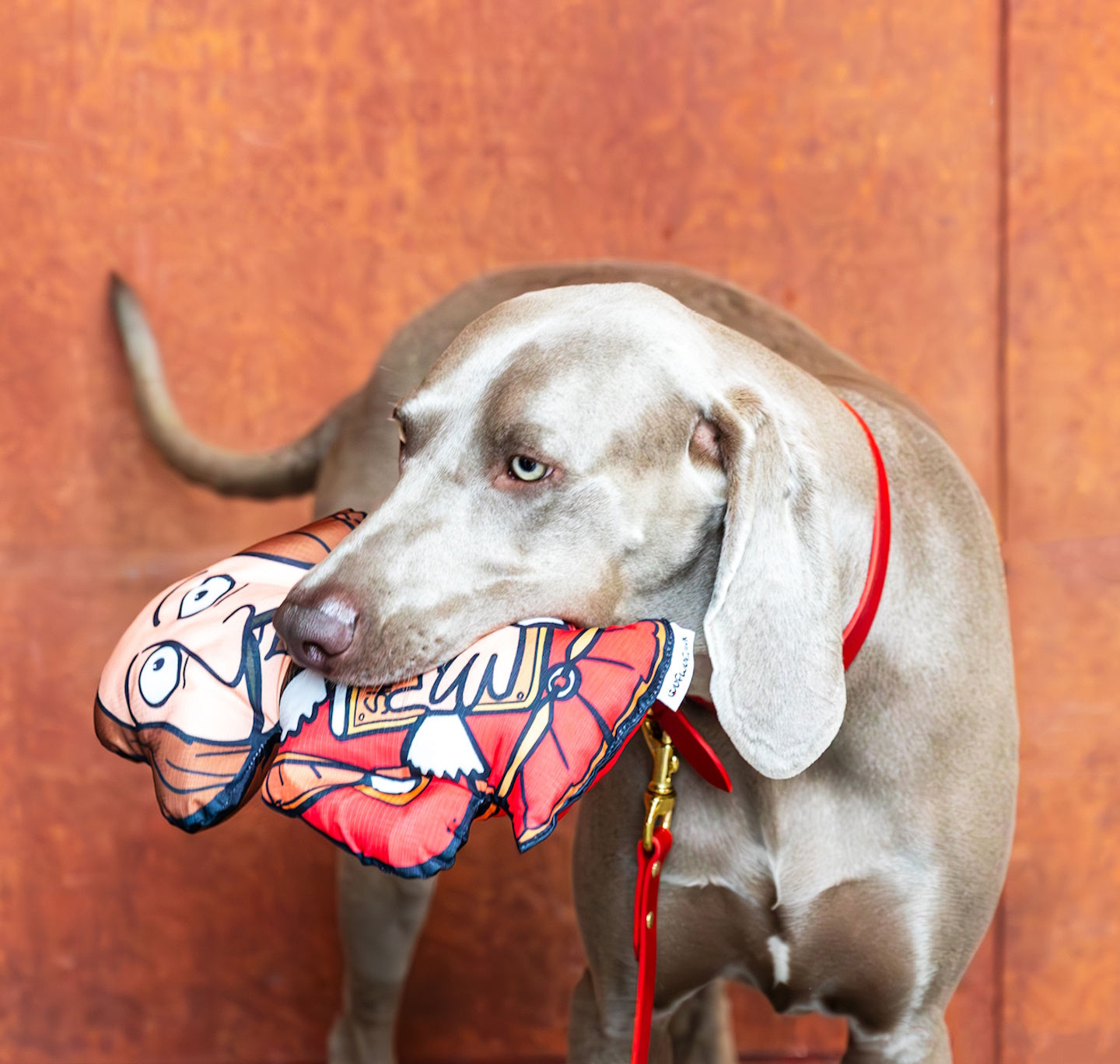 Dog Toy: Shakespeare