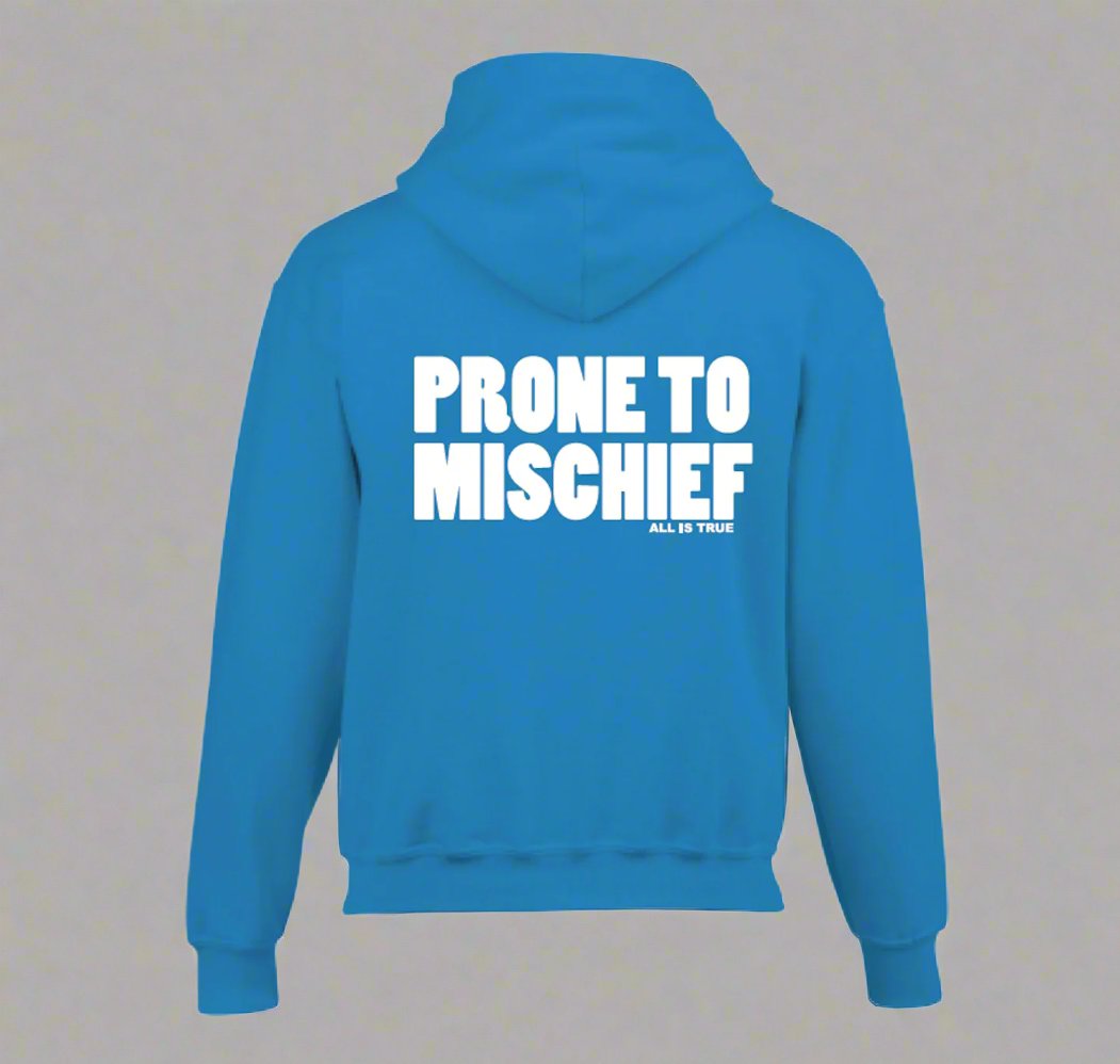 Kids Hoodie: Prone To Mischief