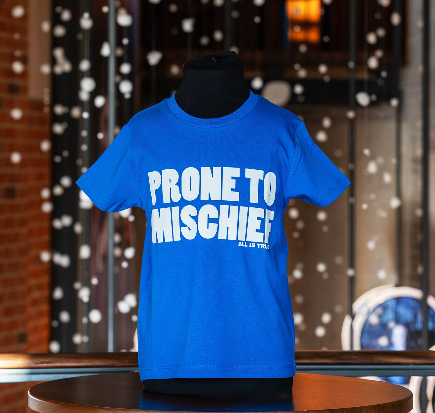 Kids T Shirt: Prone to Mischief