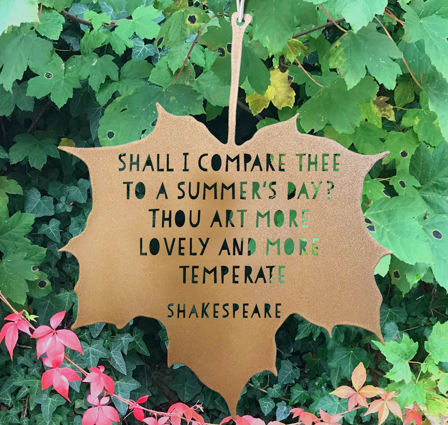 Leaf Quote - Shall I Compare Thee To A Summer's Day?