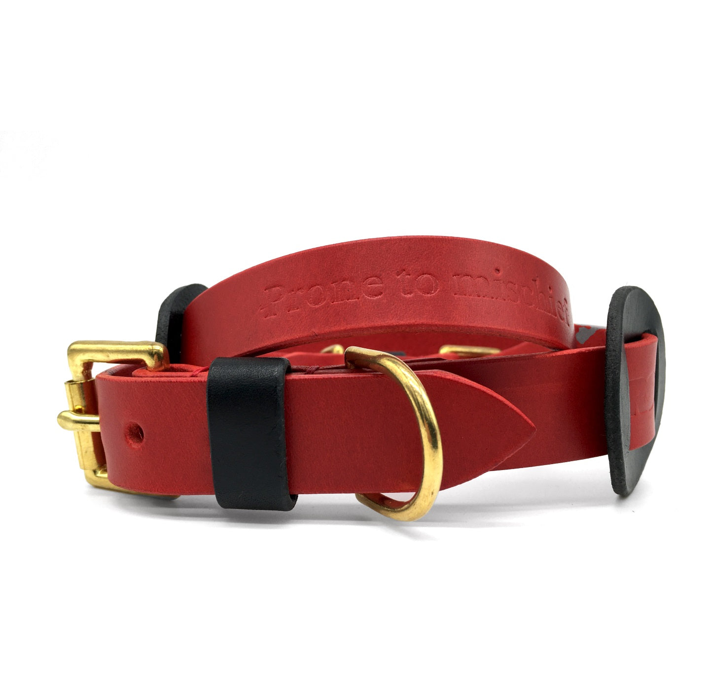 Dog Collar: Prone to Mischief