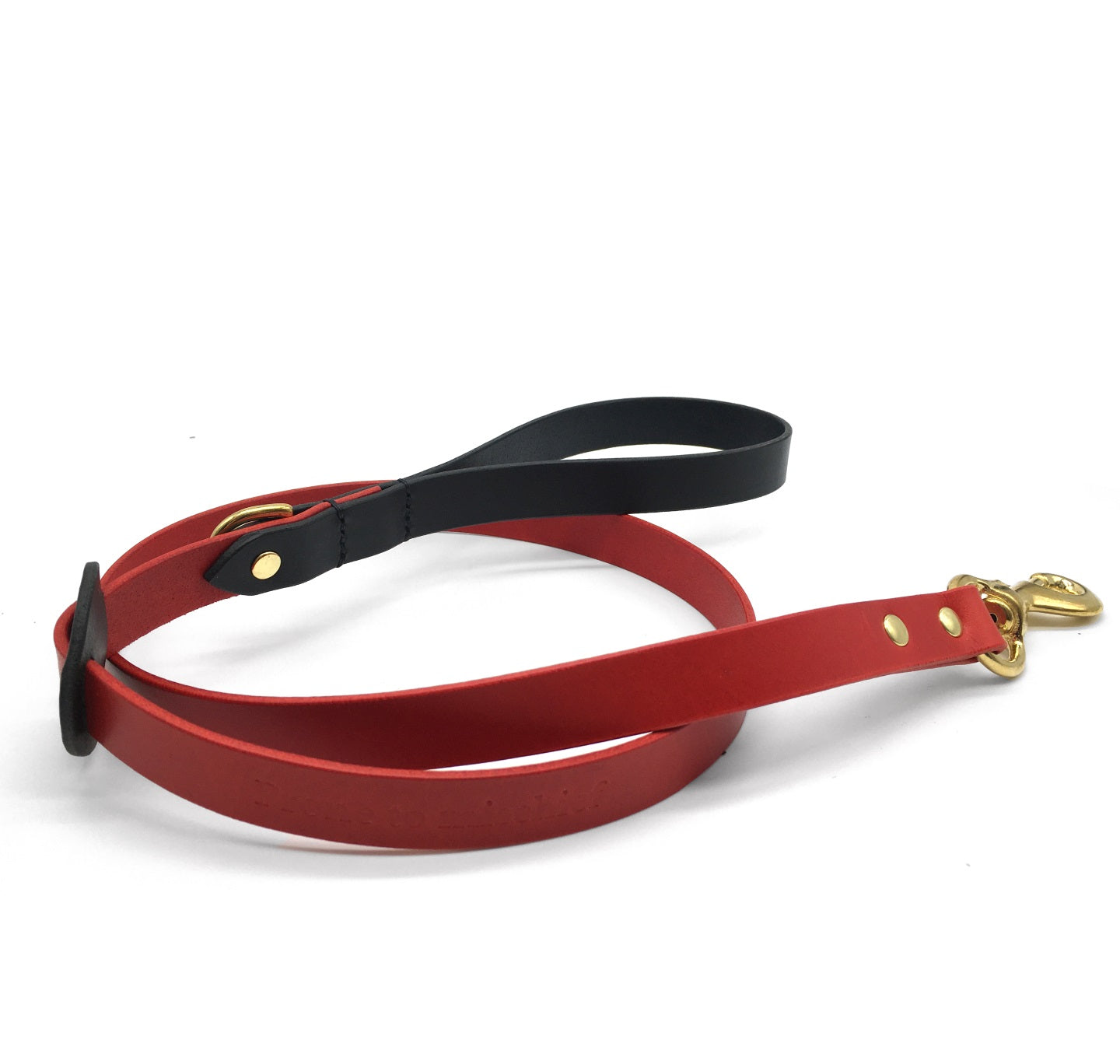 Dog Lead: Prone to Mischief