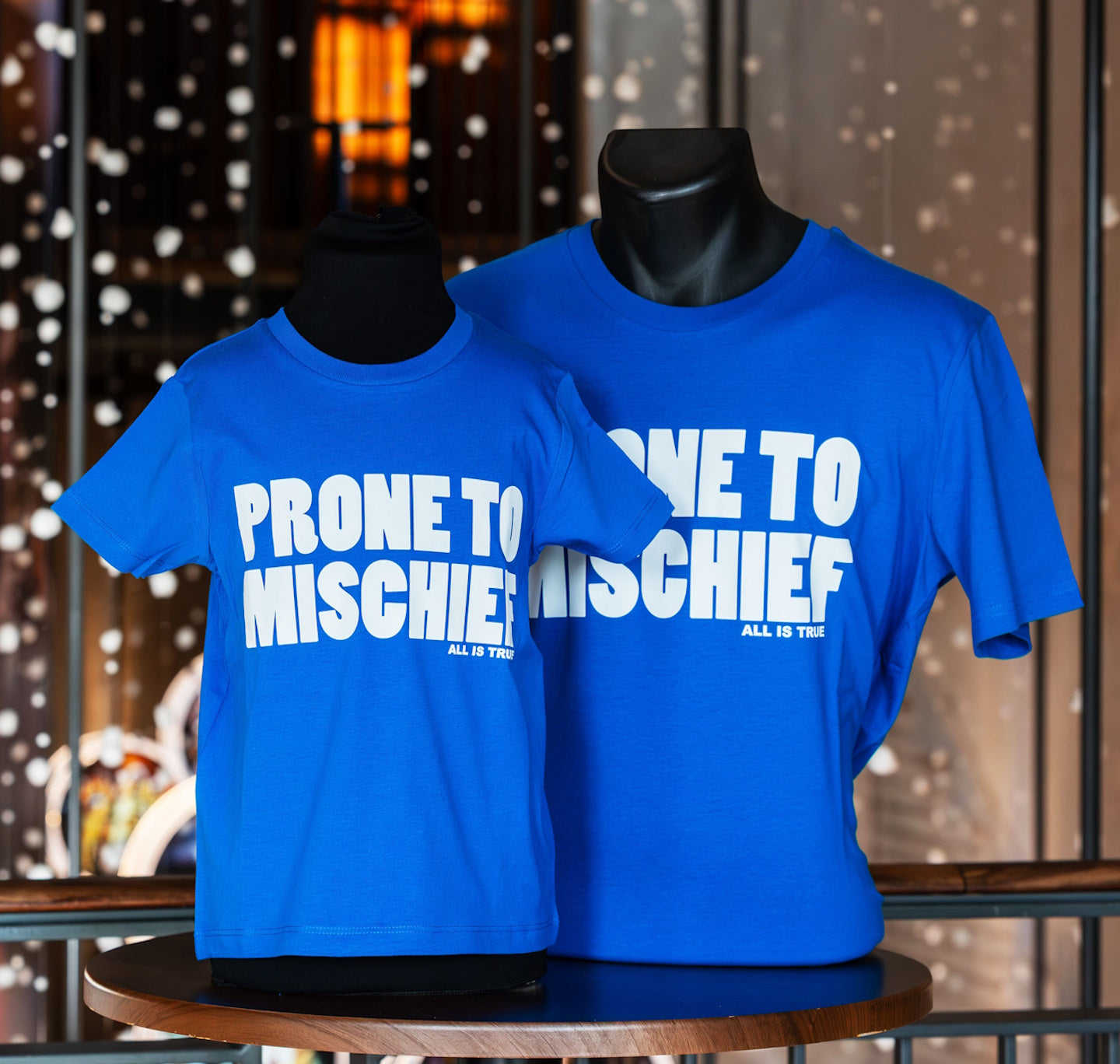 Adult T Shirt: Prone to Mischief