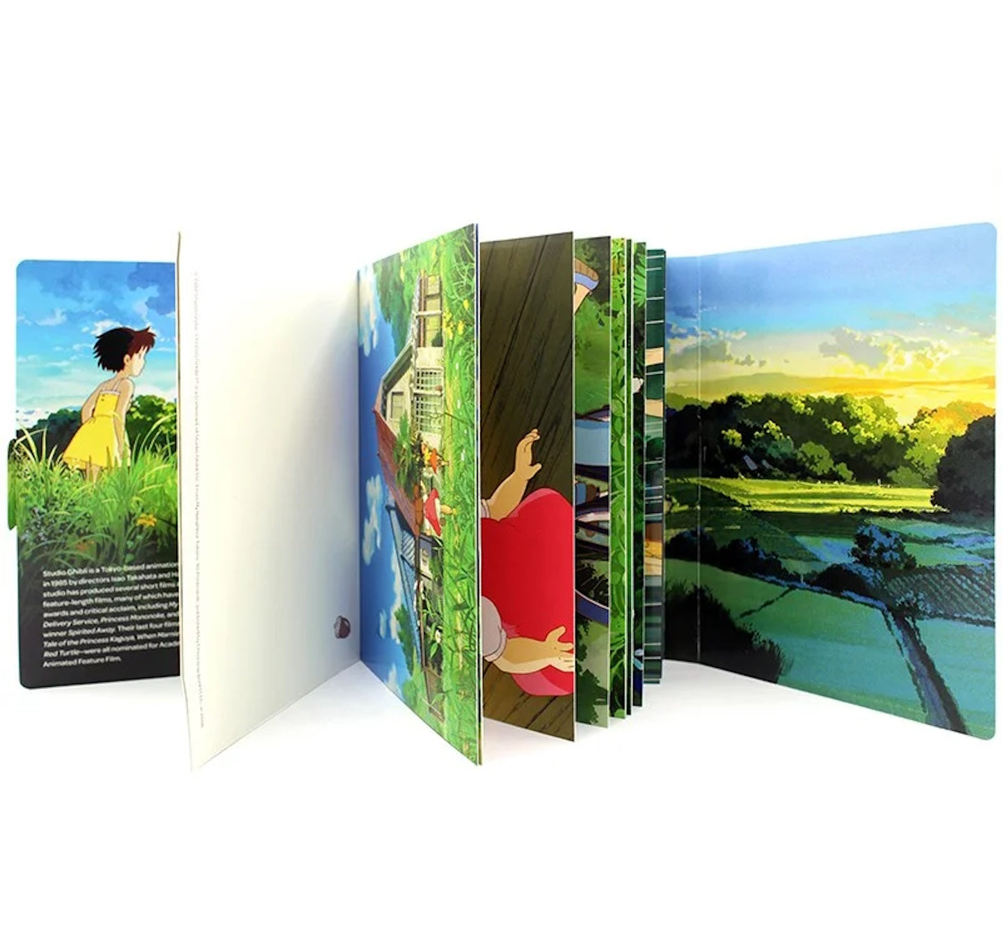 My Neighbor Totoro: 30 Postcards