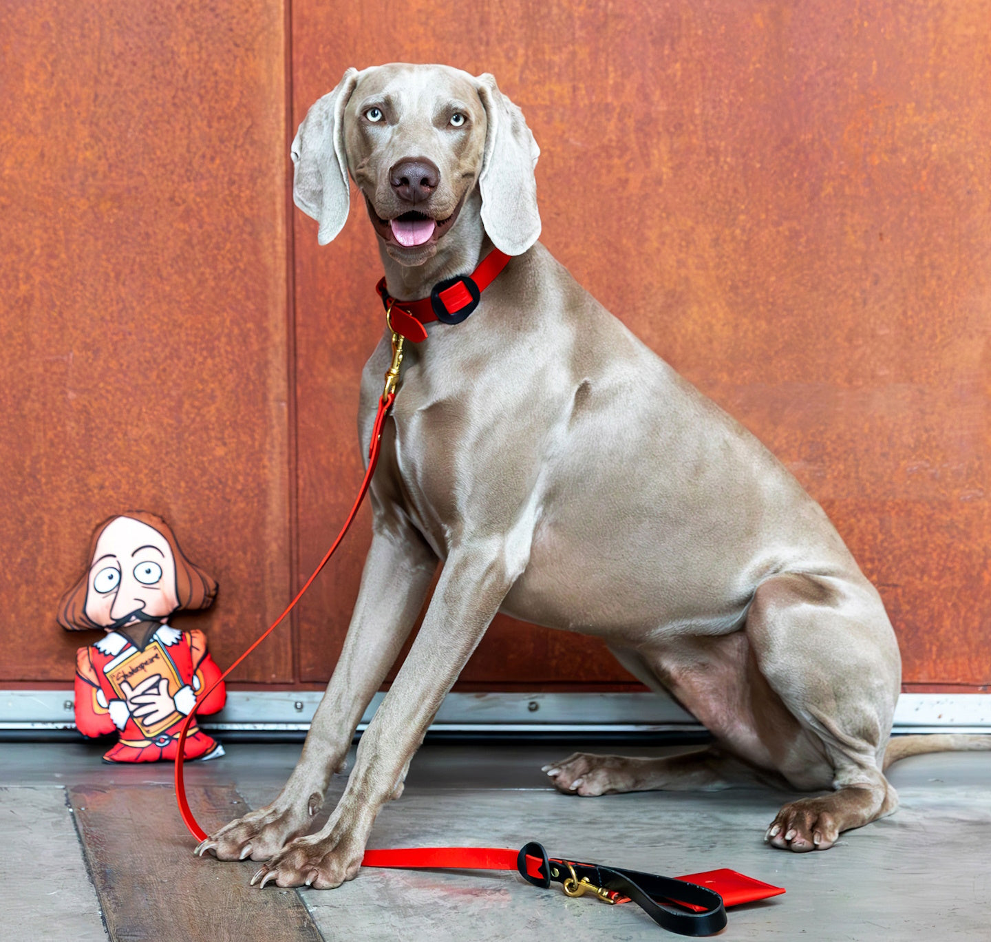 Dog Lead: Prone to Mischief