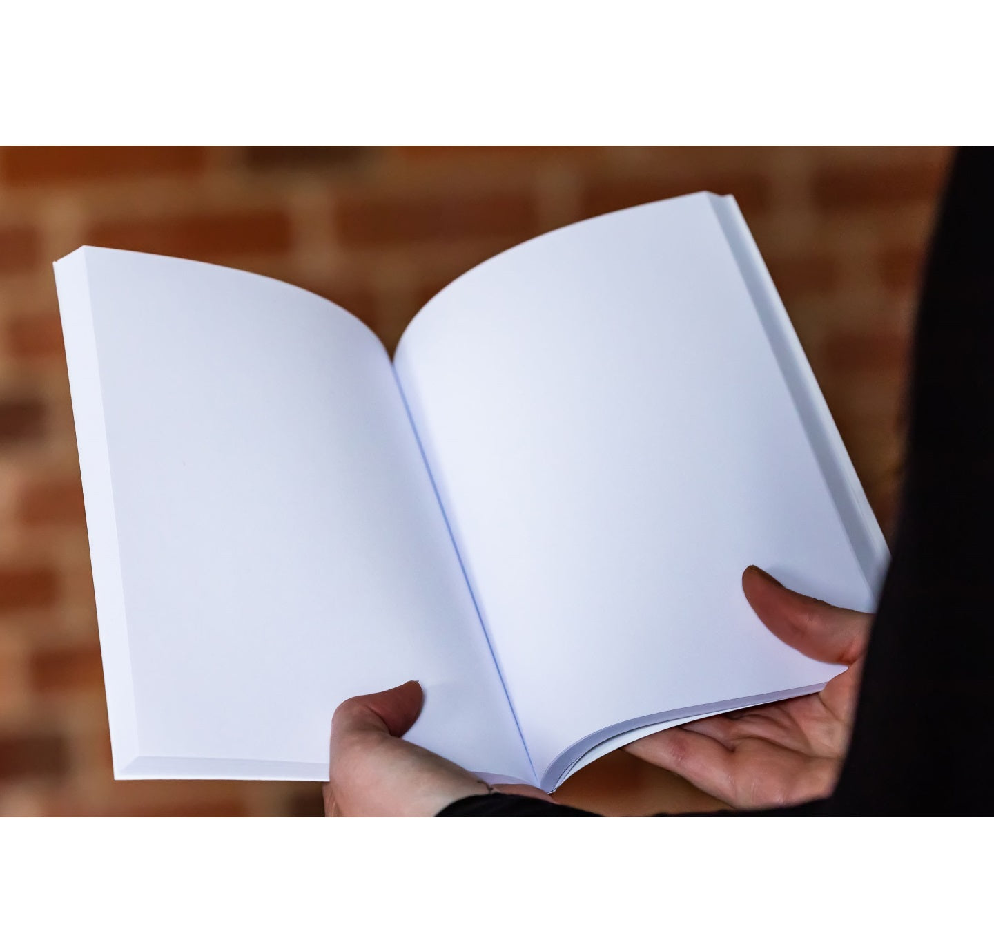 Soft Cover Book - Shakespeare's Love