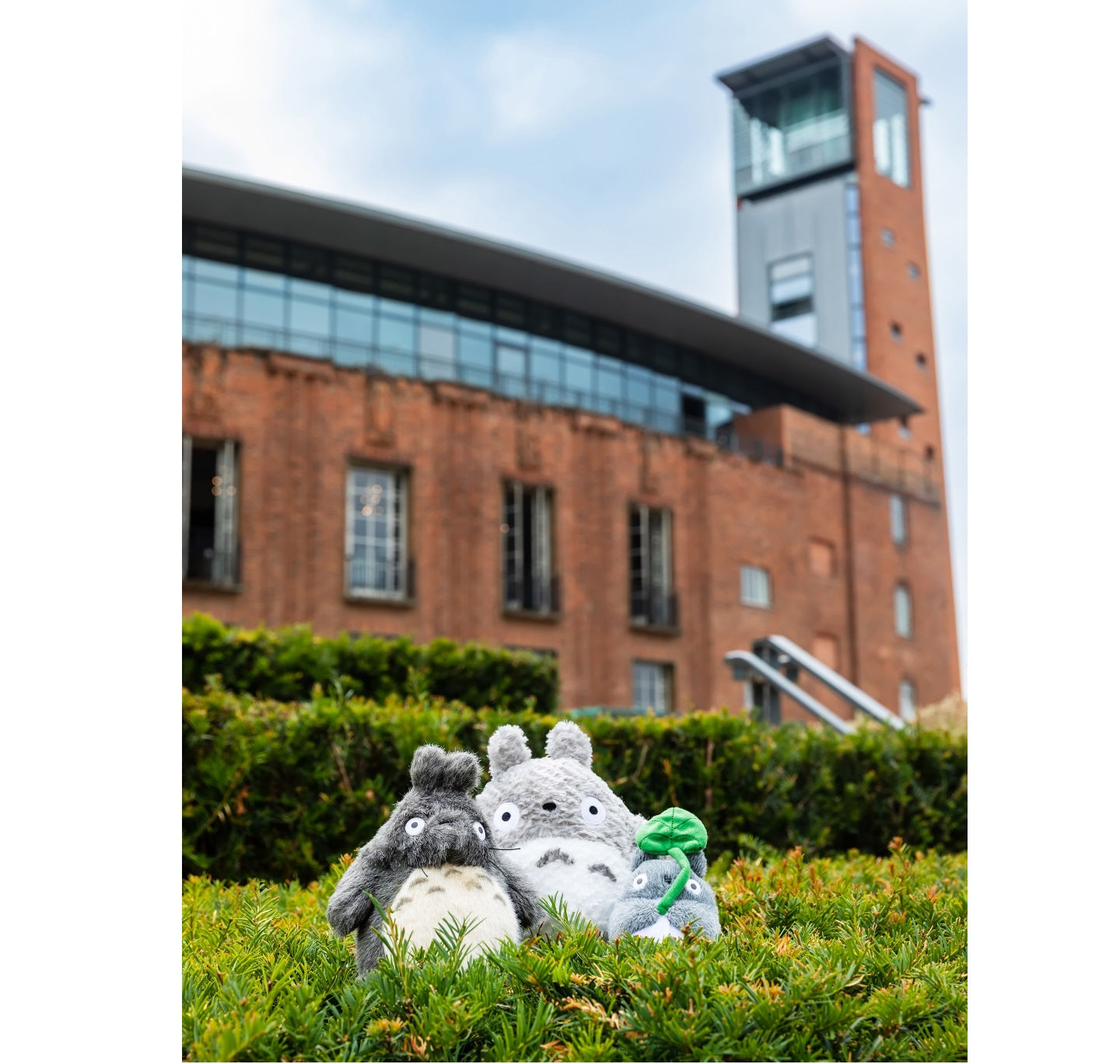 Totoro Plush - My Neighbor Totoro