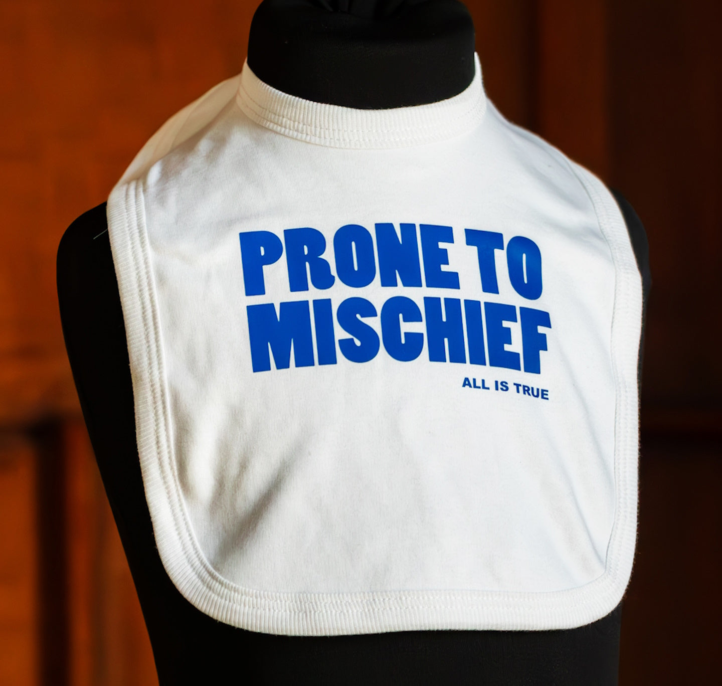 Bib: Prone To Mischief
