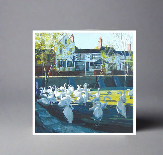 Greeting Card: Swans in front of the Dirty Duck Pub