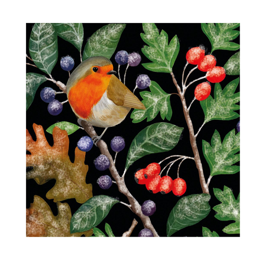 Christmas Card 8 Pack: Robin and Frosty Berries