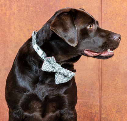 Dog Bow Tie: Fabric