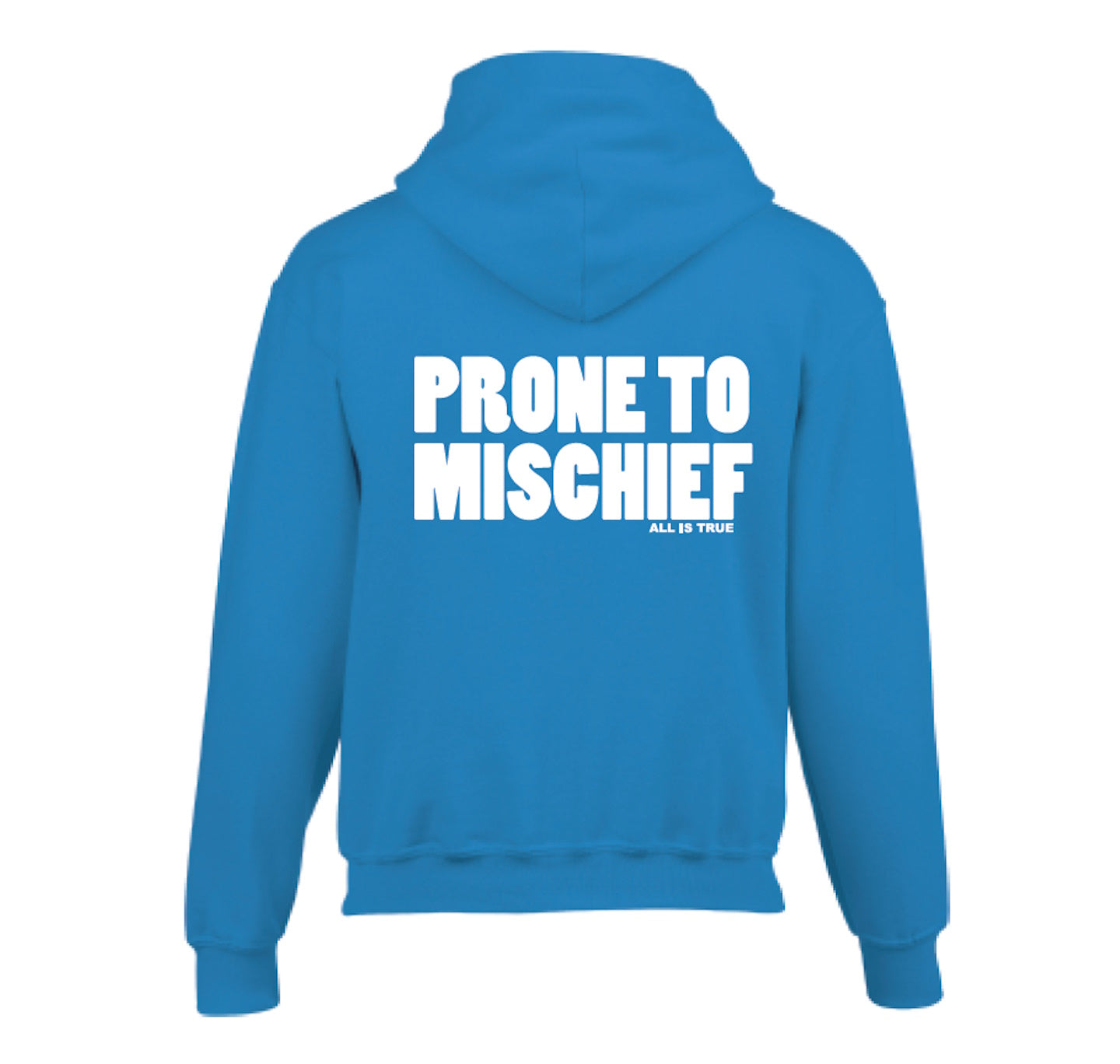 Kids Hoodie: Prone To Mischief