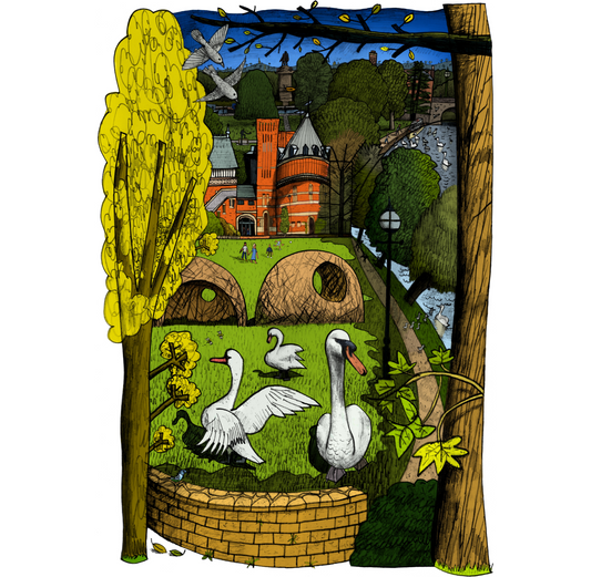 Print: James Vinciguerra - Stratford Swans A4