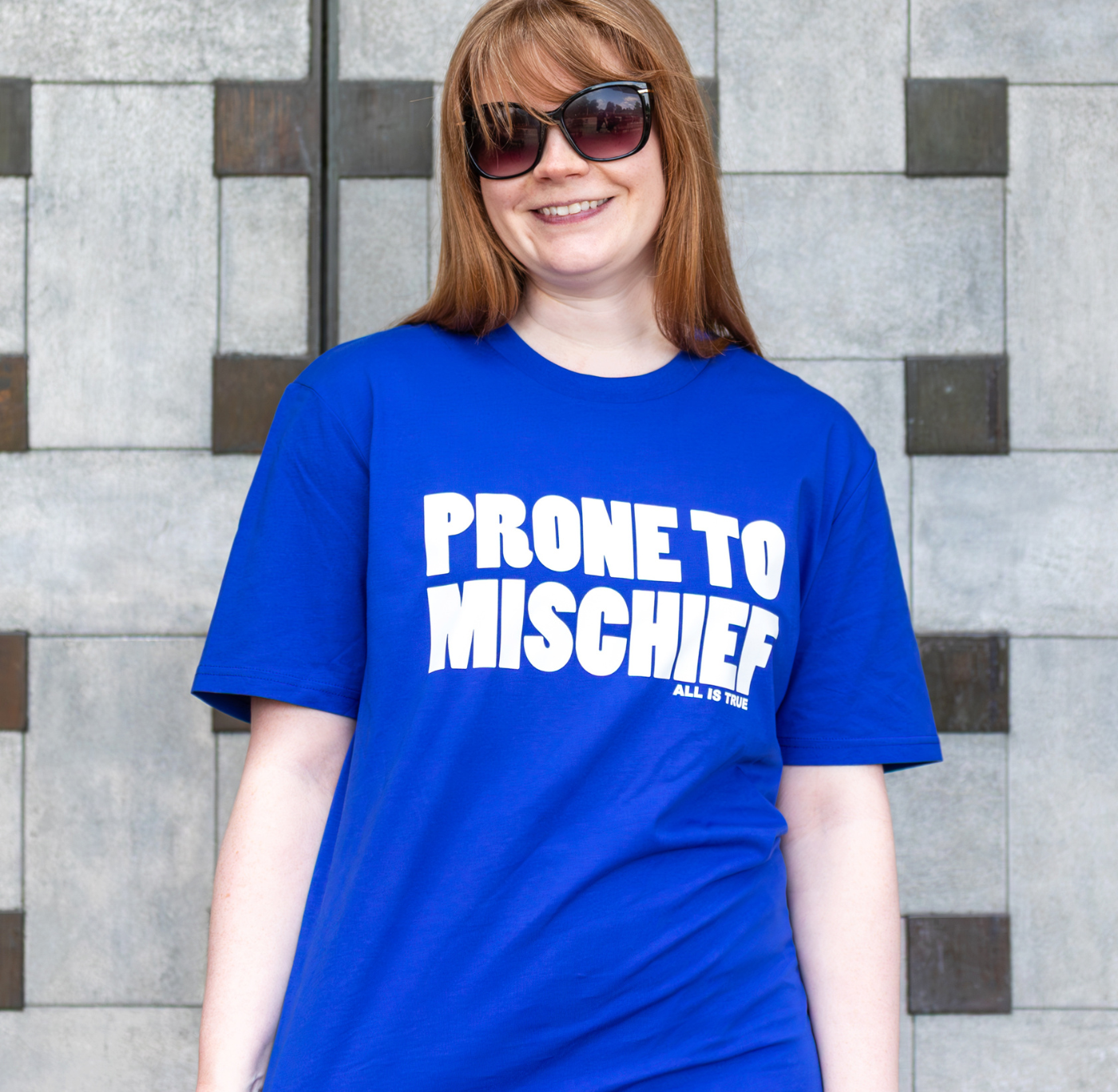 Adult T Shirt: Prone to Mischief
