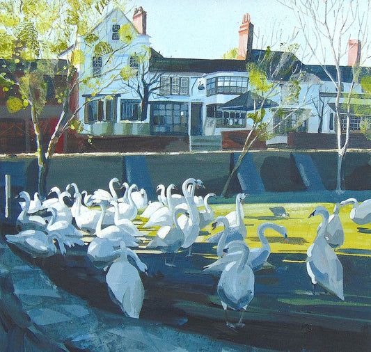 Greeting Card: Swans in front of the Dirty Duck Pub
