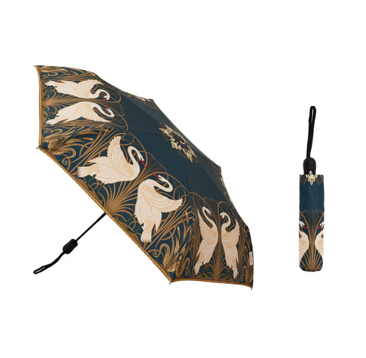 Umbrella: Swan