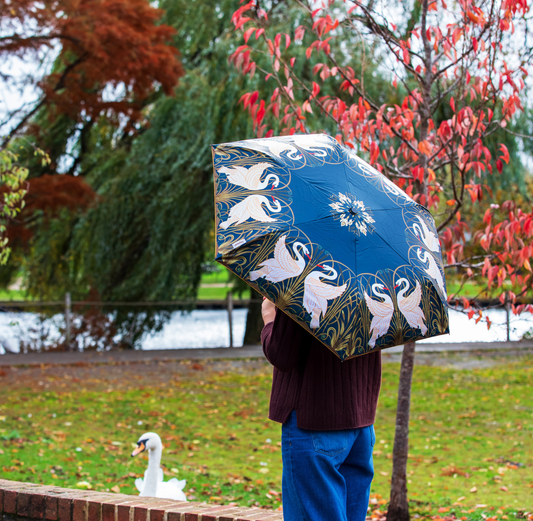 Umbrella: Swan